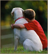 Pawsitive Park, Estel Cohn Memorial Dog Park