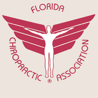 Precision Spine & Wellness Center is a personal injury clinic in Tampa with excellent car accident doctors.